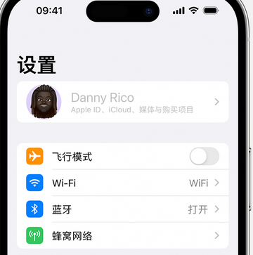 德保appleID维修服务iPhone设置中Apple ID显示为灰色无法使用 