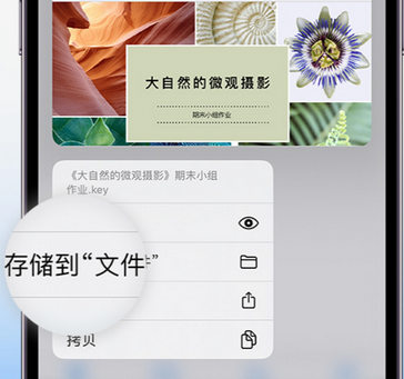 德保apple维修中心分享iPhone文件应用中存储和找到下载文件