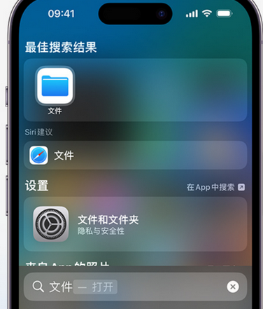 德保apple维修中心分享iPhone文件应用中存储和找到下载文件