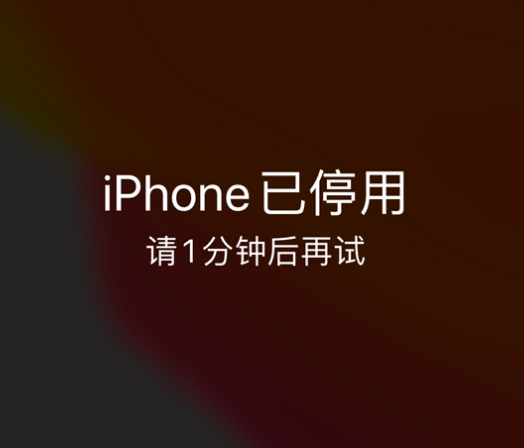 德保苹果手机维修分享:iPhone 显示“不可用”或“已停用”怎么办？还能保留数据吗？ 