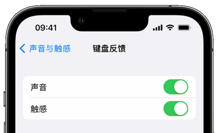 德保苹果手机维修分享iPhone 14触感键盘使用方法 