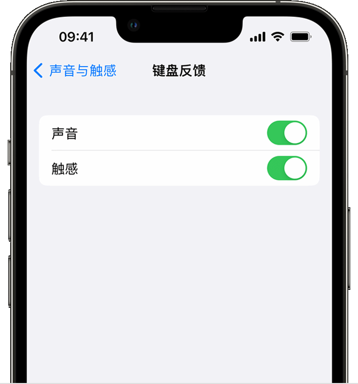 德保苹果14维修店分享如何在 iPhone 14 机型中使用触感键盘 