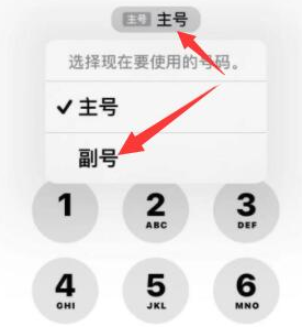 德保苹果14维修店分享iPhone 14 Pro Max使用副卡打电话的方法 