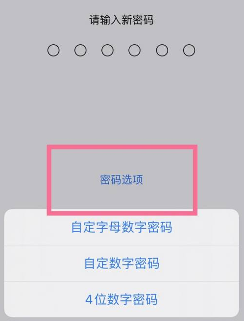 德保苹果14维修分享iPhone 14plus设置密码的方法 