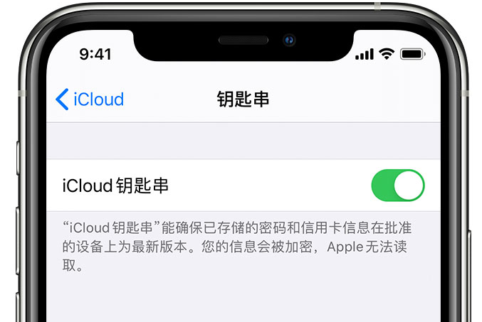 德保苹果手机维修分享在 iPhone 上开启 iCloud 钥匙串之后会储存哪些信息 