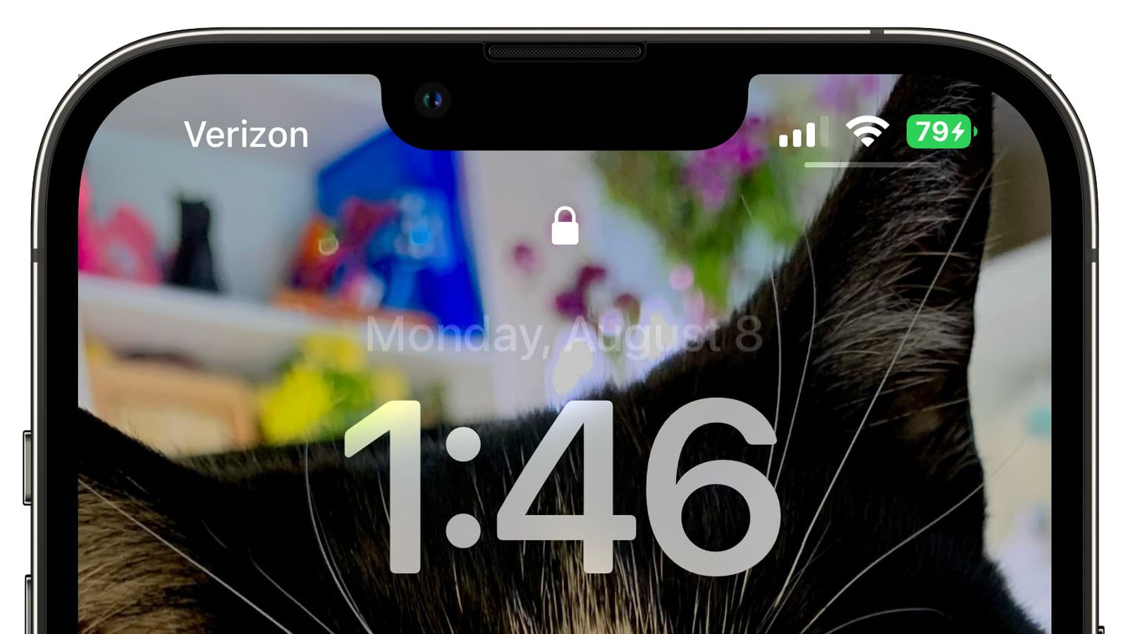 德保苹果手机维修分享iOS 16 beta 5 支持状态栏显示电池百分比，如何开启？支持哪些机型 