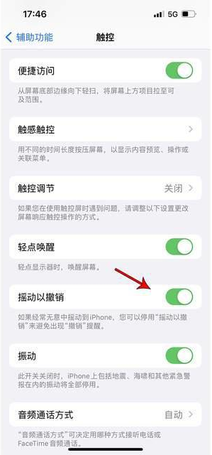 德保苹果手机维修分享iPhone手机如何设置摇一摇删除文字 