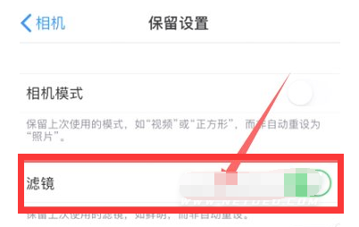 德保苹果13维修分享iPhone13拍照有绿点是怎么回事 
