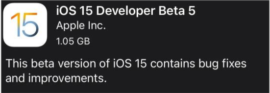 德保苹果手机维修分享如何升级到iOS15.0 beta5 