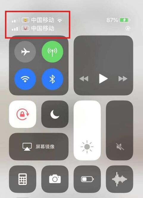 德保苹果手机维修分享为 iPhone 12 双卡设置标签 